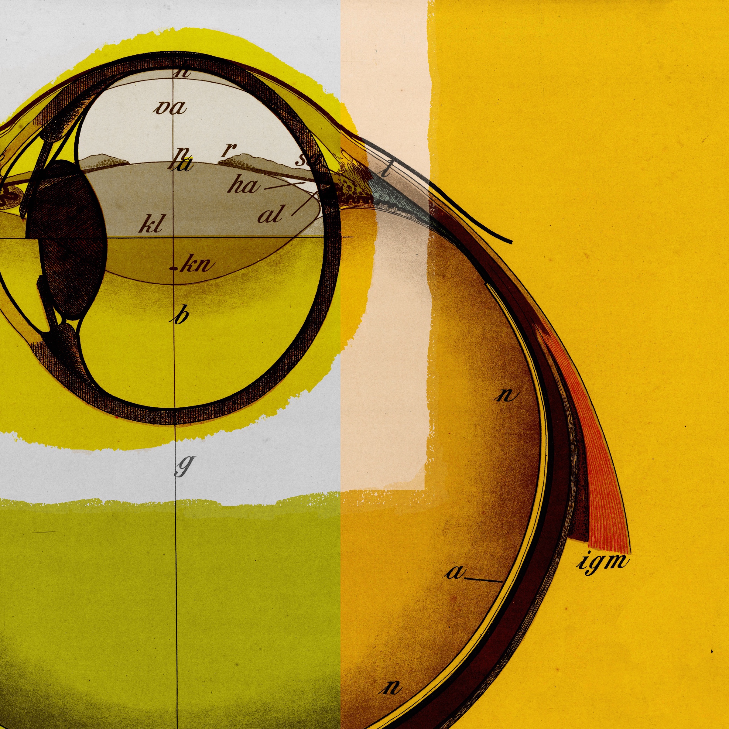 The Eye Within